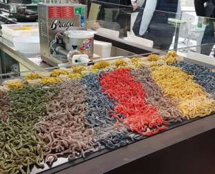 MASINI PASTE PROASPETE